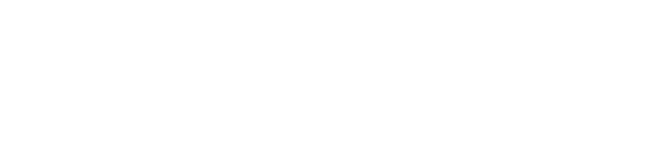 Synergetica Logo